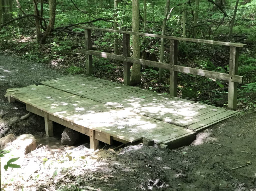 Carlson Bridge in Boardman Park