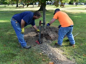 Santon Electric, NECA-IBEW Electricians